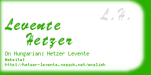 levente hetzer business card